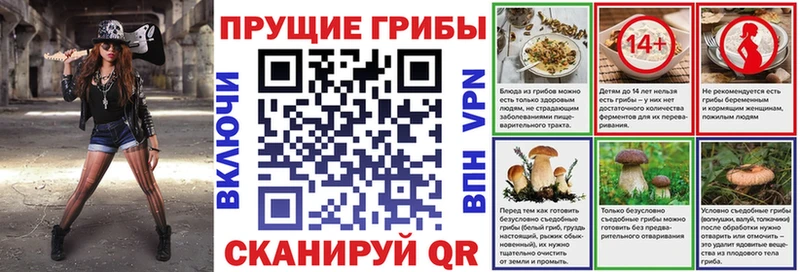 Купить закладки  Беслан  Галлюциногенные грибы Magic Shrooms 
